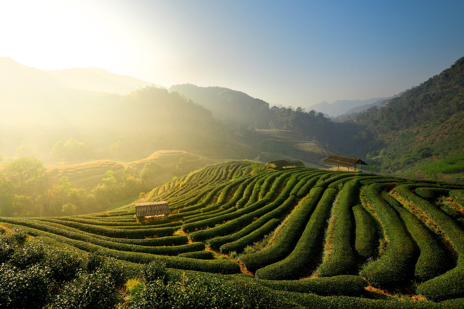 China Yunna Province